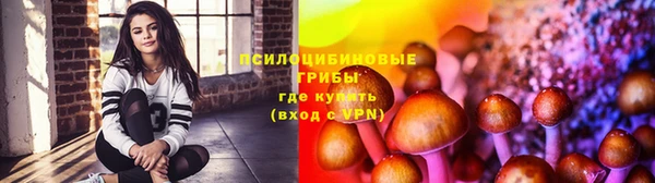 герыч Бронницы