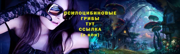 герыч Бронницы