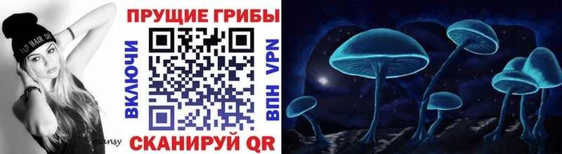 кракен ТОР  закладка  Кореновск  Галлюциногенные грибы Psilocybine cubensis 
